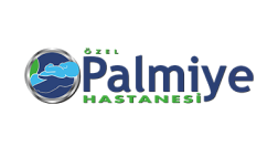 PALMİYE